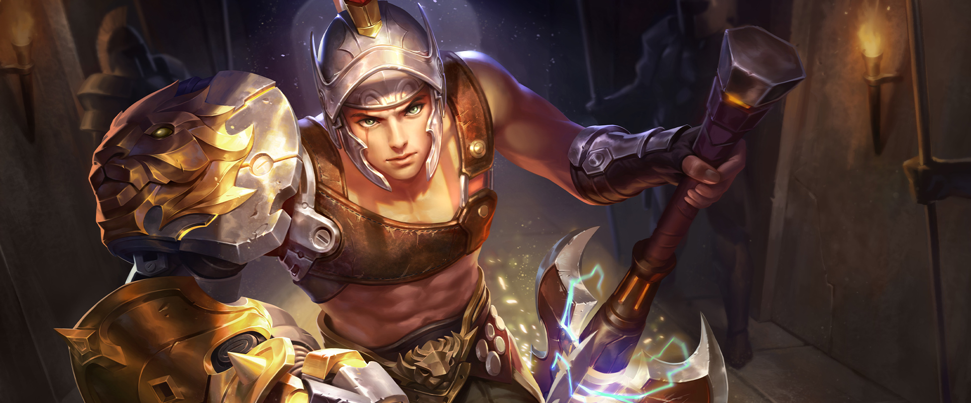 Biron skin: Fate Arena
