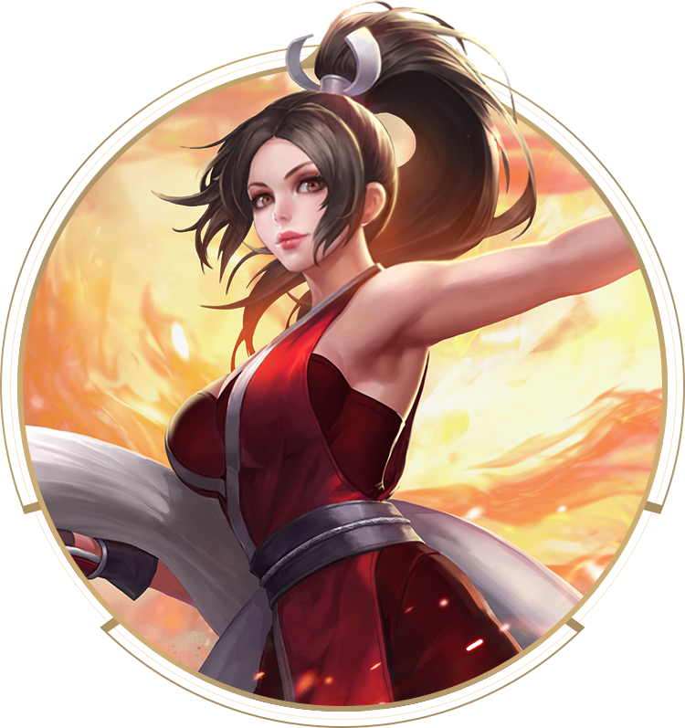 HERO DATA-MAI SHIRANUI